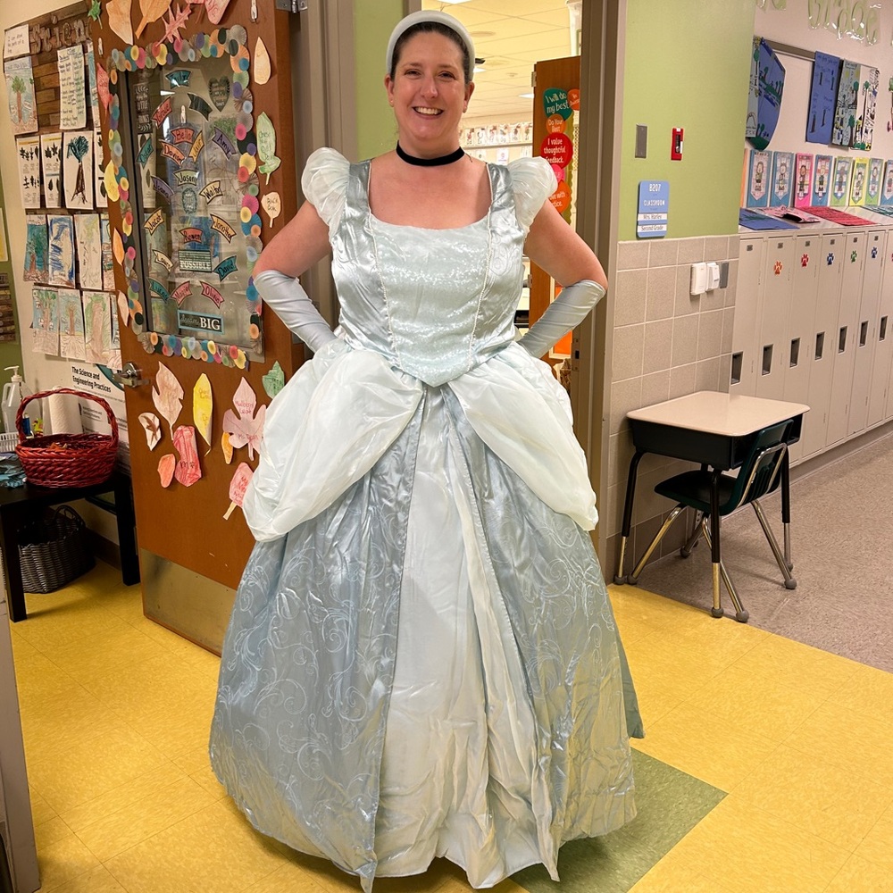 Adult women’s Cinderella costume
